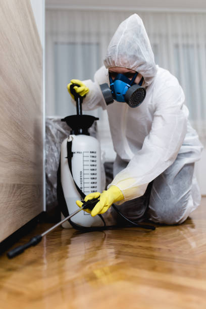 Best Pest Prevention Services  in Lorain, OH